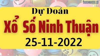 Thống Kê XSNT 25/11/2022 - Tham Khảo Xổ Số Ninh Thuận Thần Tài