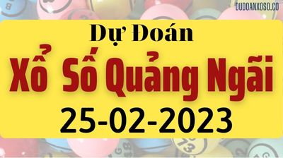 Thống Kê XSQNG 25/02/2023 - Tham Khảo Xổ Số Quảng Ngãi Thần Tài