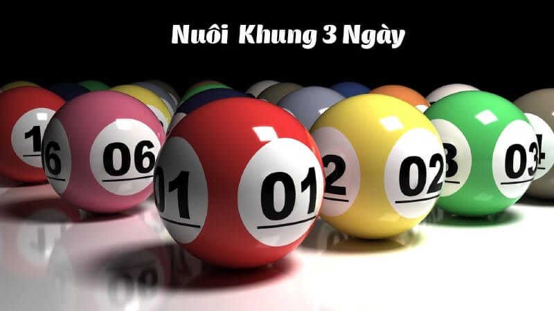 Nuôi khung 3 ngày