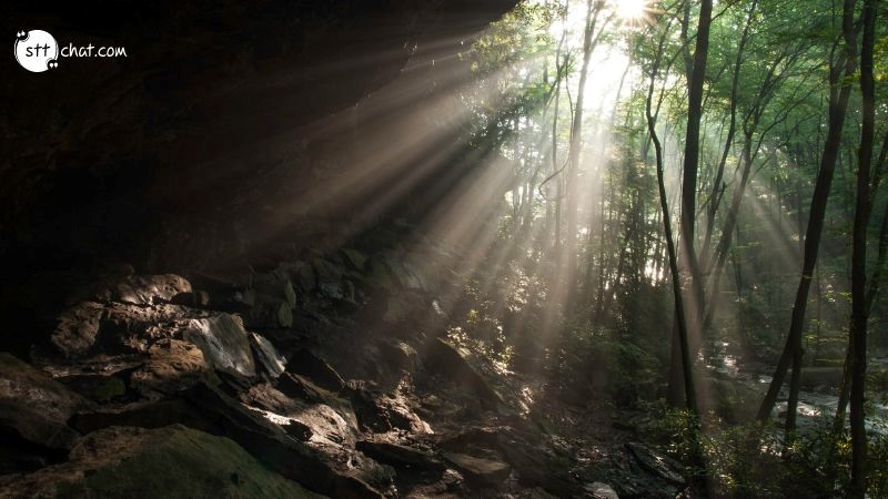 Meaning of the quote: It is during our darkest moments that we must focus to see the light