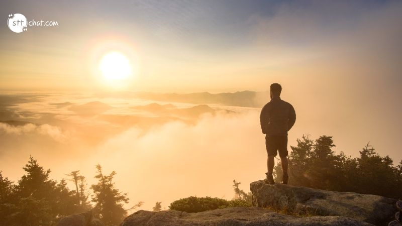 Meaning of the quote: Nothing is more beautiful than the loveliness of the woods before sunrise