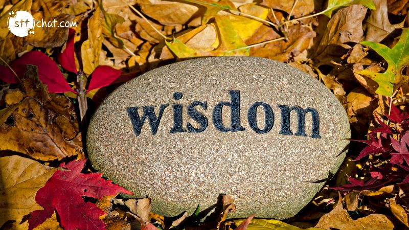 Wisdom ca make us rich and confident 