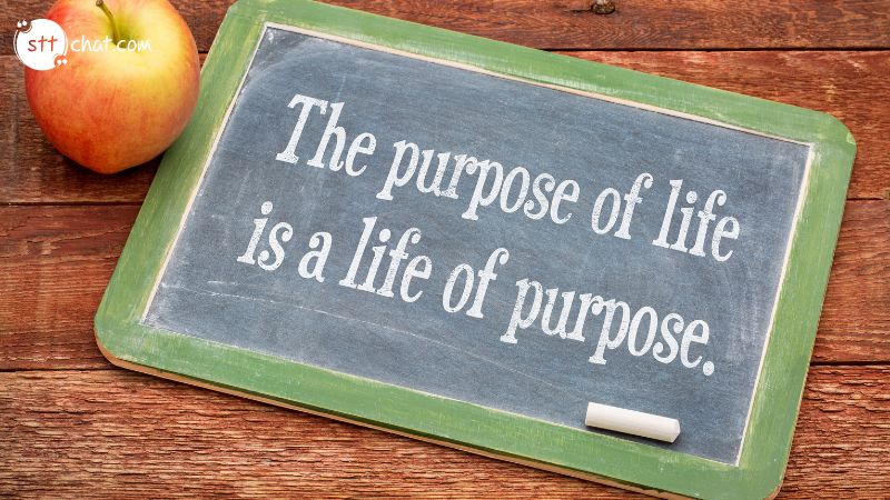 Understanding purpose in life 