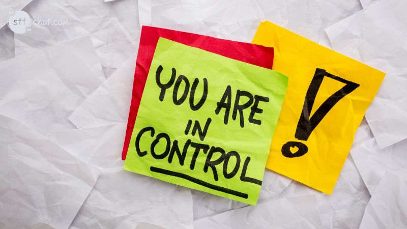 One of the most empowering aspects of pursuing success is realizing that you are in control