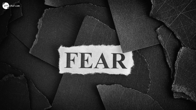 Failure is an option, but fear is not quote meaning