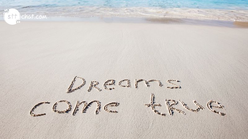 It's the possibility of having a dream come true that makes life interesting quote meaning 