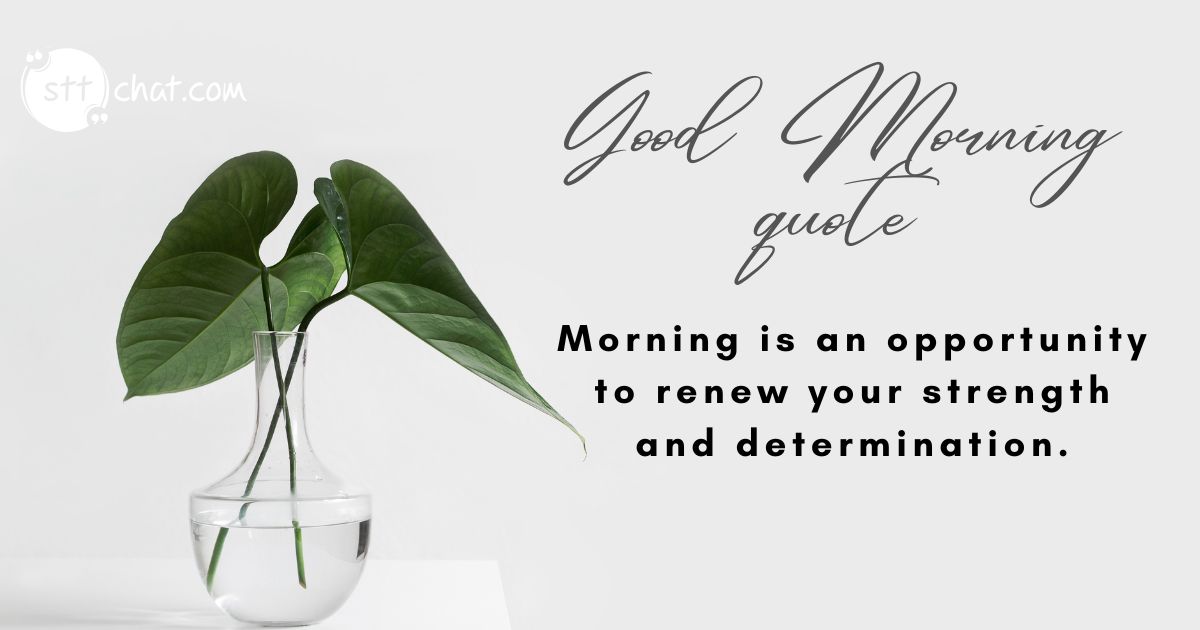Morning is an opportunity to renew your strength and determination