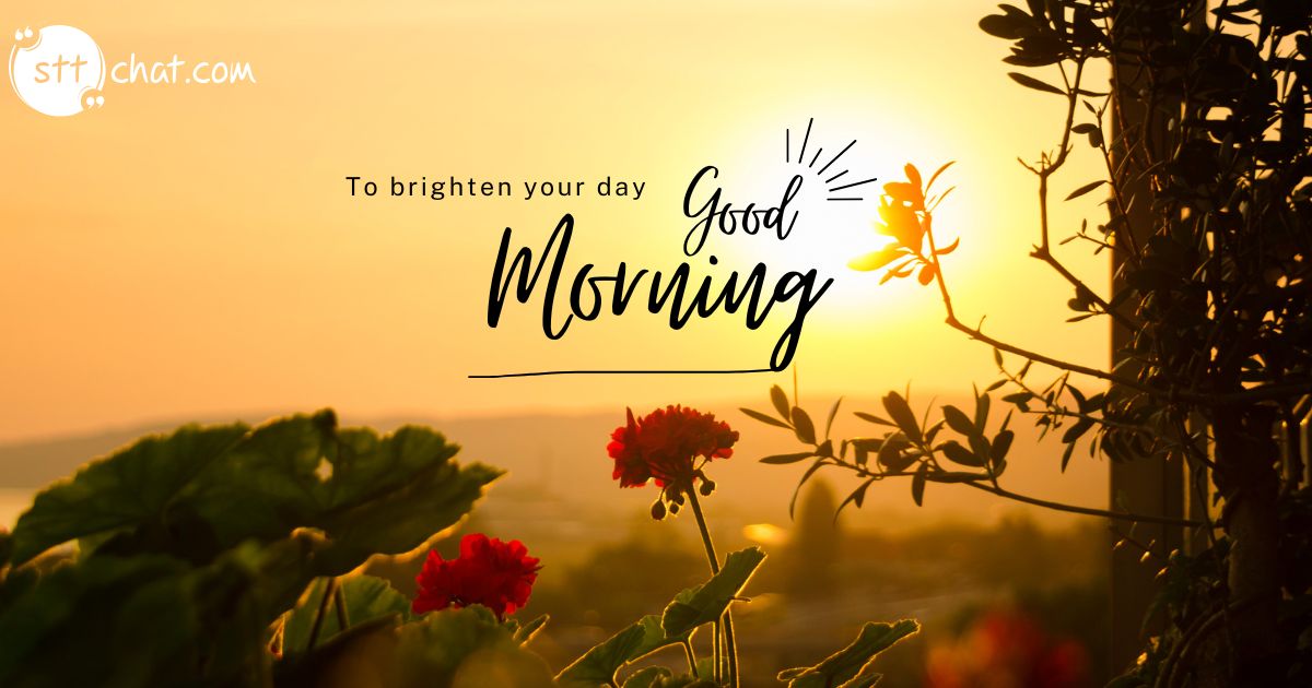 What is the best quote for good morning to brighten your day?