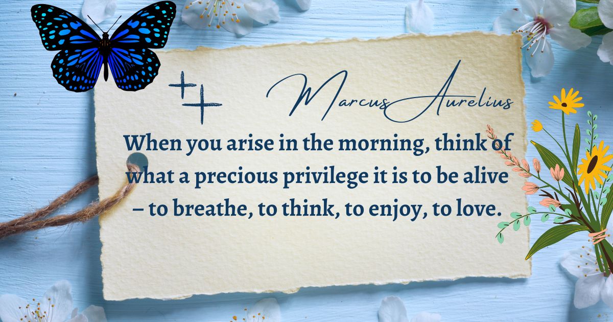  The simple act of waking up, breathing, and feeling emotions is a privilege we often overlook