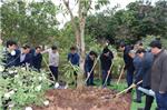 Các đồng chí lãnh đạo huyện tổ chức Tết trồng cây mùa xuân 