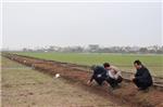 Đồng chí Vũ Văn Kỳ - Phó Chủ tịch UBND huyện kiểm tra tình hình sản xuất nông nghiệp